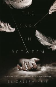 the dark in between elizabeth hrib book cover